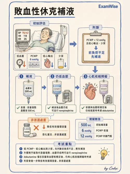 呼吸治療師 - 休克、敗血症與多器官衰竭 - AI 圖文解析預覽