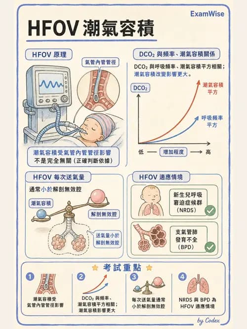 呼吸治療師 - 重症特殊處置 - AI 圖文解析預覽