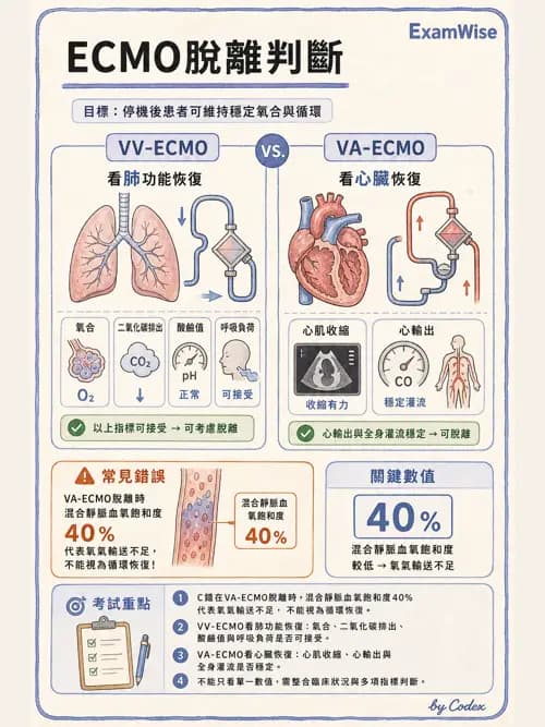 呼吸治療師 - 重症特殊處置 - AI 圖文解析預覽