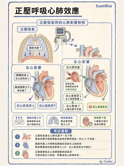 呼吸治療師 - 呼吸器併發症與感染 - AI 圖文解析預覽