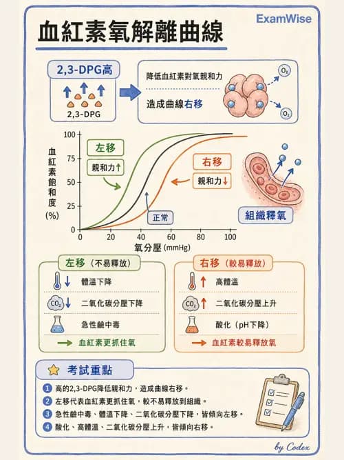 呼吸治療師 - 重症監測與判讀 - AI 圖文解析預覽