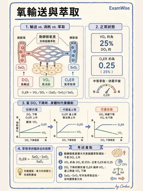 呼吸治療師 - 重症監測與判讀 - AI 圖文解析預覽
