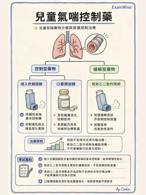 呼吸治療師 - 兒童呼吸系統疾病 - AI 圖文解析預覽
