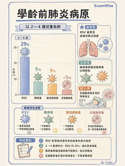 呼吸治療師 - 兒童呼吸系統疾病 - AI 圖文解析預覽