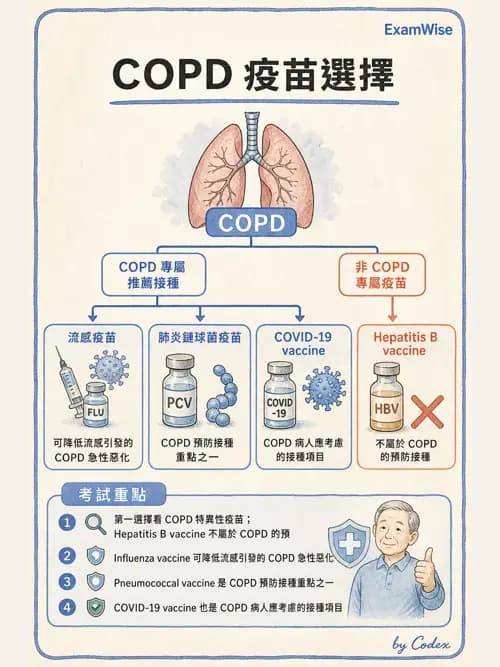 呼吸治療師 - 慢性氣道疾病 - AI 圖文解析預覽