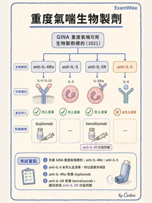 呼吸治療師 - 慢性氣道疾病 - AI 圖文解析預覽
