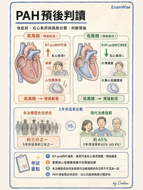 呼吸治療師 - 肺間質病變 - AI 圖文解析預覽