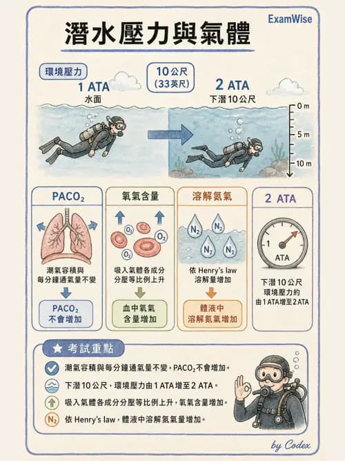呼吸治療師 - 運動與環境生理 - AI 圖文解析預覽
