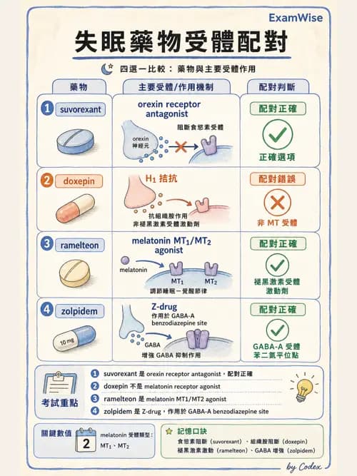 呼吸治療師 - 神經系統藥物 - AI 圖文解析預覽