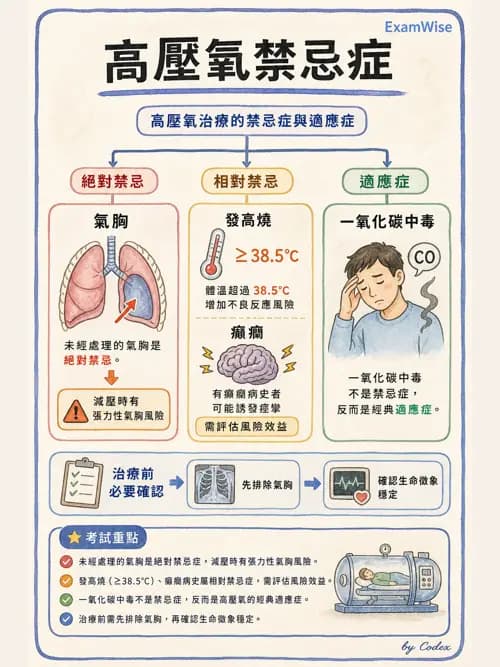 呼吸治療師 - 高壓氧治療 - AI 圖文解析預覽