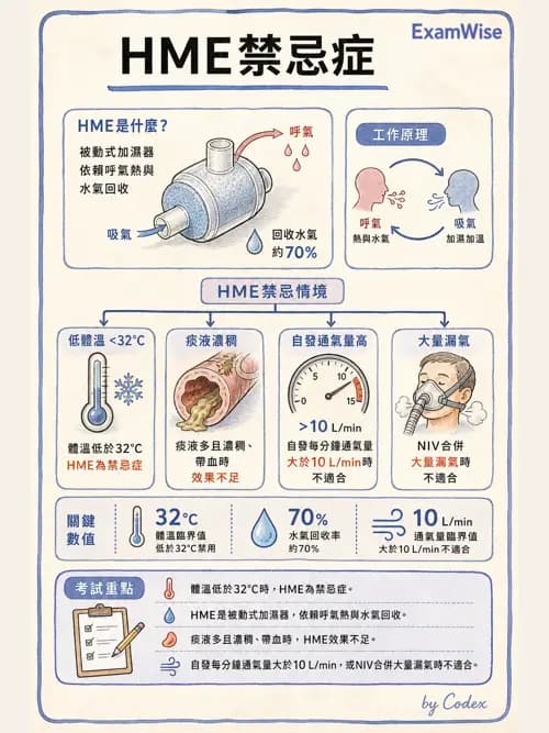 呼吸治療師 - 濕氣與霧氣治療 - AI 圖文解析預覽
