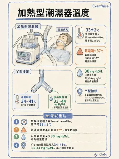 呼吸治療師 - 濕氣與霧氣治療 - AI 圖文解析預覽
