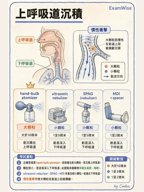 呼吸治療師 - 濕氣與霧氣治療 - AI 圖文解析預覽
