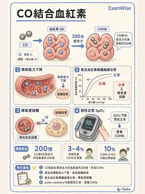呼吸治療師 - 動脈血氣體分析設備 - AI 圖文解析預覽