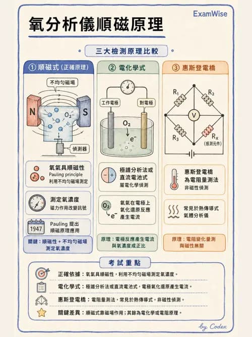 呼吸治療師 - 非侵入性呼吸監測設備 - AI 圖文解析預覽