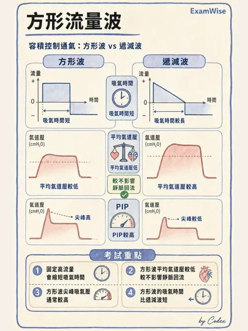 呼吸治療師 - 呼吸機械力學監測 - AI 圖文解析預覽