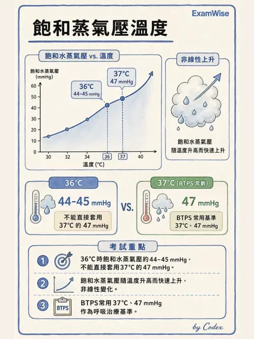 呼吸治療師 - 濕氣治療設備 - AI 圖文解析預覽