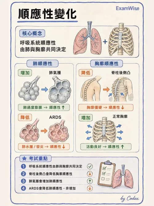 呼吸治療師 - 機械通氣生理 - AI 圖文解析預覽