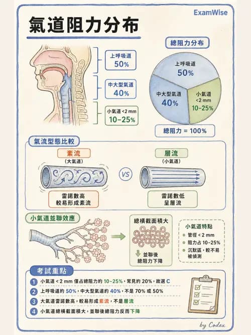 呼吸治療師 - 機械通氣生理 - AI 圖文解析預覽