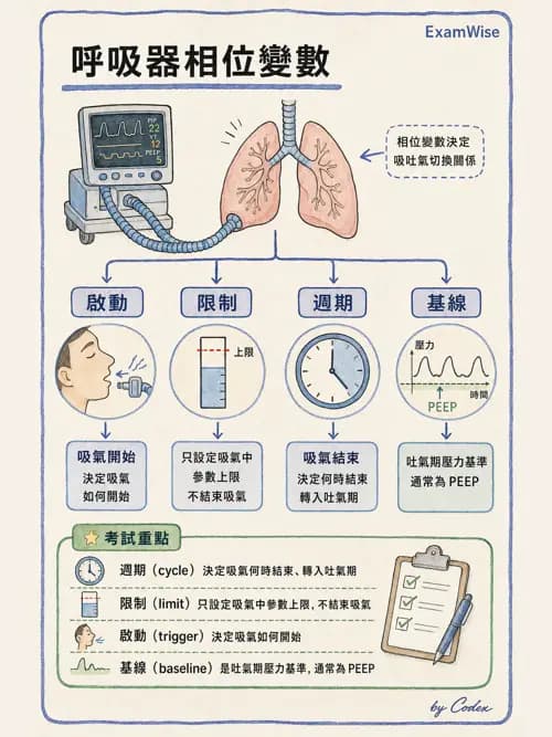 呼吸治療師 - 呼吸器設計與通氣模式 - AI 圖文解析預覽