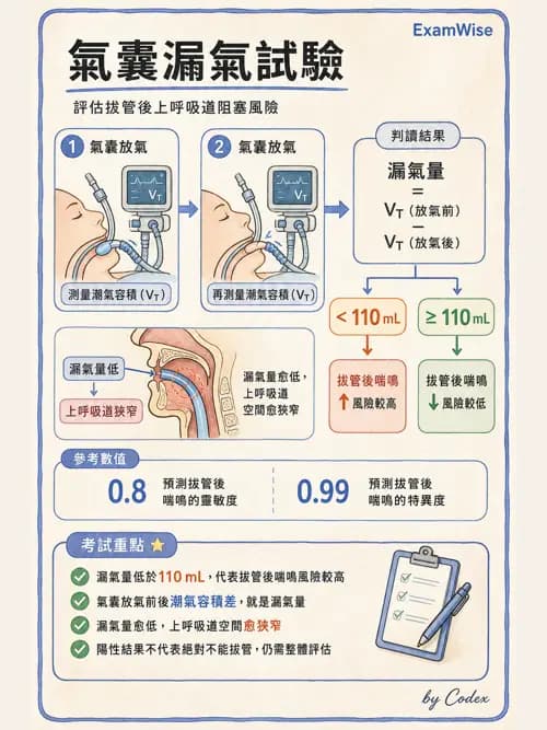 呼吸治療師 - 臨床設定、參數調整與脫離 - AI 圖文解析預覽