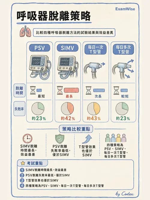 呼吸治療師 - 臨床設定、參數調整與脫離 - AI 圖文解析預覽