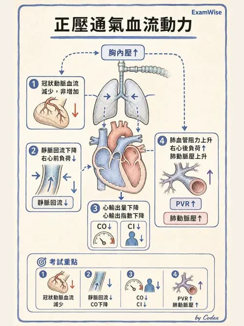 呼吸治療師 - 正壓通氣生理影響與合併症 - AI 圖文解析預覽