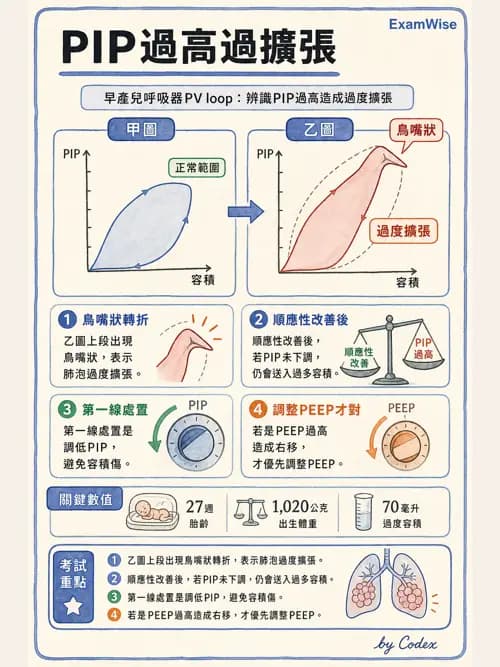 呼吸治療師 - 小兒呼吸器支持 - AI 圖文解析預覽