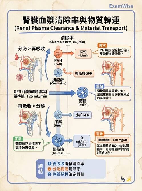 護理師 - 泌尿系統 - AI 圖文解析預覽