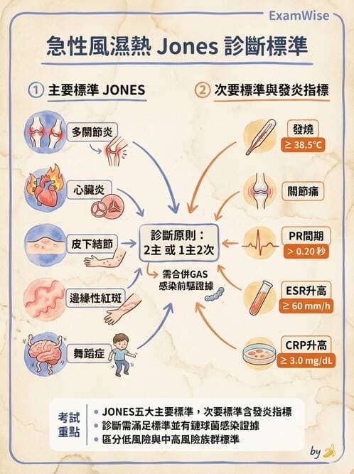 護理師 - 呼吸、循環系統 - AI 圖文解析預覽
