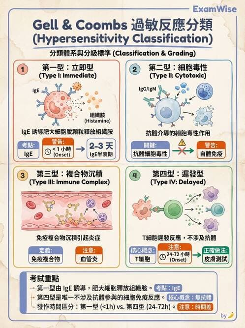 護理師 - 免疫疾病 - AI 圖文解析預覽