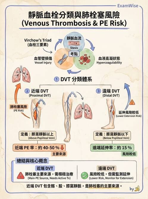 護理師 - 呼吸、循環系統 - AI 圖文解析預覽