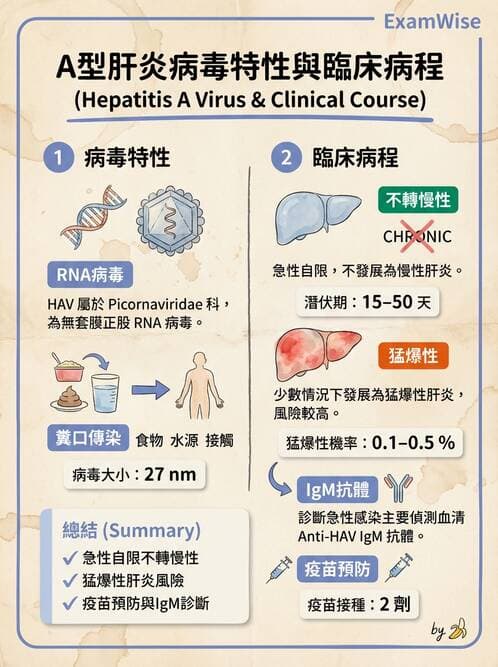 護理師 - 感染及環境疾病 - AI 圖文解析預覽