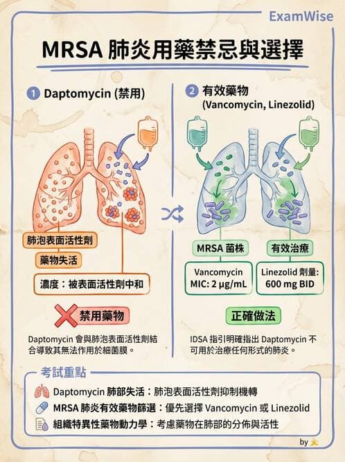 護理師 - 抗感染藥物 - AI 圖文解析預覽