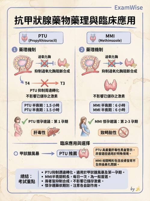 護理師 - 影響新陳代謝及內分泌功能藥物 - AI 圖文解析預覽
