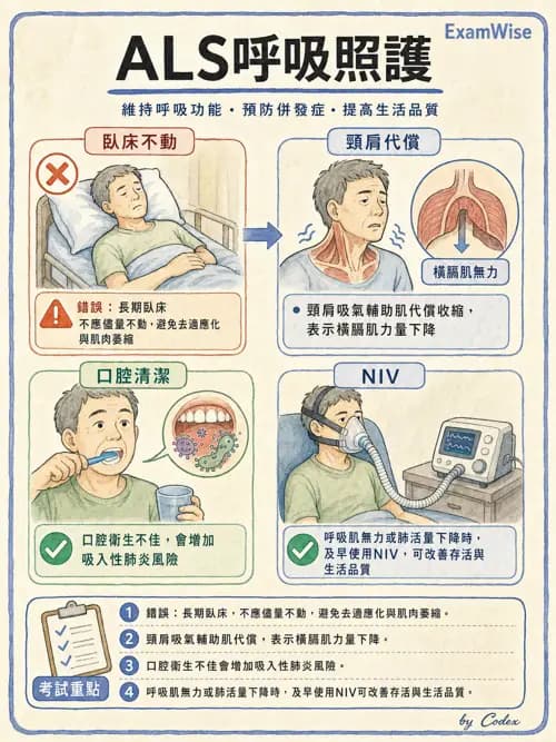 呼吸治療師 - 術後與其他呼吸重症 - AI 圖文解析預覽