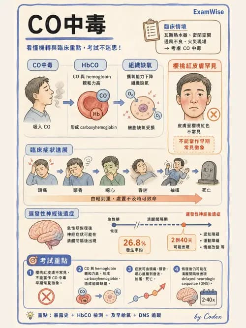 呼吸治療師 - 術後與其他呼吸重症 - AI 圖文解析預覽