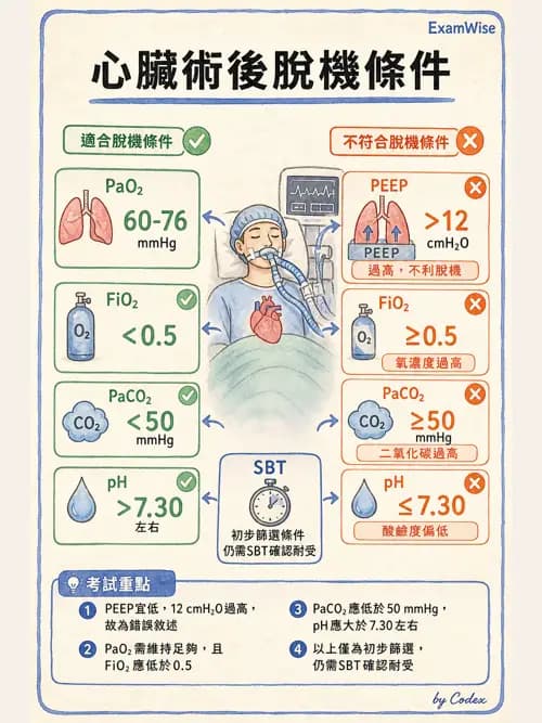 呼吸治療師 - 術後與其他呼吸重症 - AI 圖文解析預覽