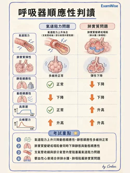 呼吸治療師 - 重症監測與判讀 - AI 圖文解析預覽