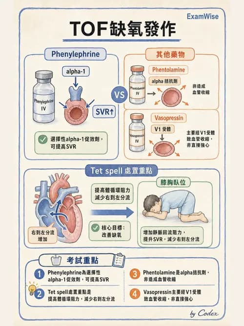 呼吸治療師 - 小兒相關重症 - AI 圖文解析預覽