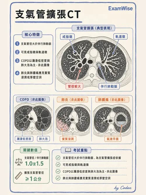 呼吸治療師 - 慢性氣道疾病 - AI 圖文解析預覽