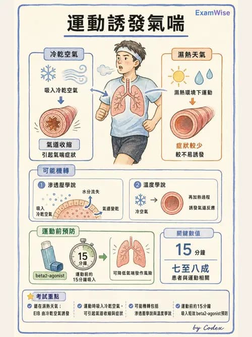 呼吸治療師 - 慢性氣道疾病 - AI 圖文解析預覽