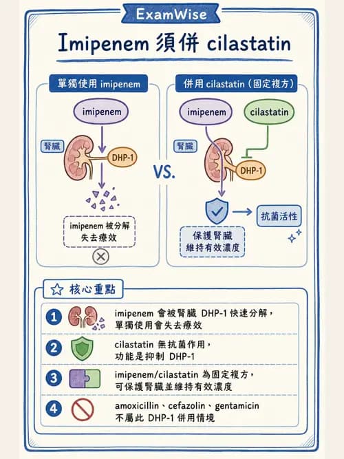 呼吸治療師 - 藥理學概論與抗感染藥物 - AI 圖文解析預覽