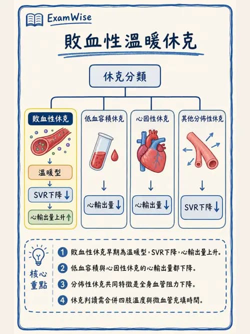 呼吸治療師 - 心血管評估與實驗室檢查 - AI 圖文解析預覽