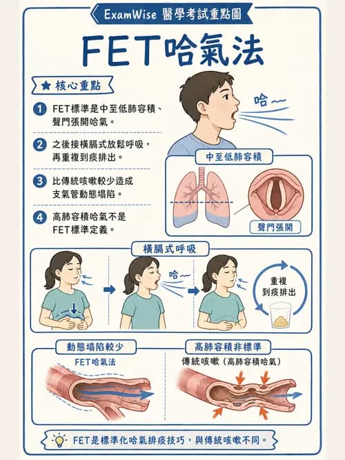 呼吸治療師 - 痰液清除與擴張治療 - AI 圖文解析預覽