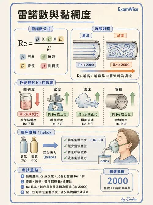 呼吸治療師 - 氣體物理學 - AI 圖文解析預覽