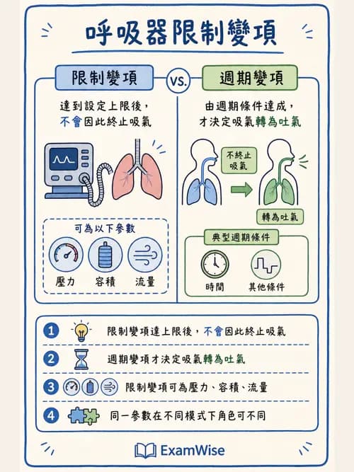呼吸治療師 - 呼吸器設計與通氣模式 - AI 圖文解析預覽