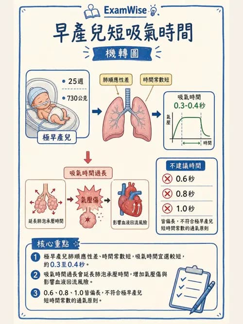 呼吸治療師 - 小兒呼吸器支持 - AI 圖文解析預覽
