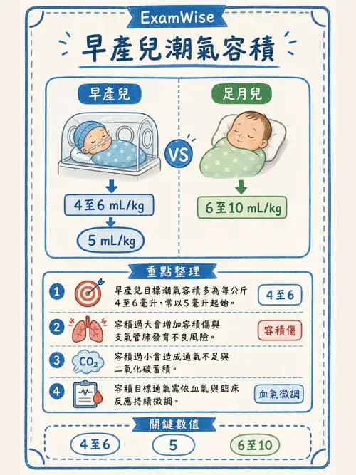 呼吸治療師 - 小兒呼吸器支持 - AI 圖文解析預覽