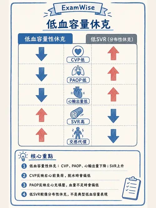呼吸治療師 - 重症監測與判讀 - AI 圖文解析預覽
